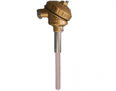 WRN2-123雙支裝配式熱電偶(無固定防濺式)