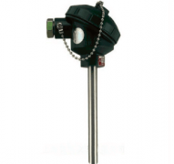 WZP2-131無固定防水式雙支裝配式熱電阻