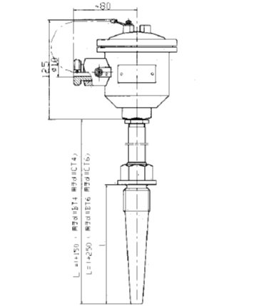 WRE2-640A雙支隔爆型本安型熱電偶安裝圖片